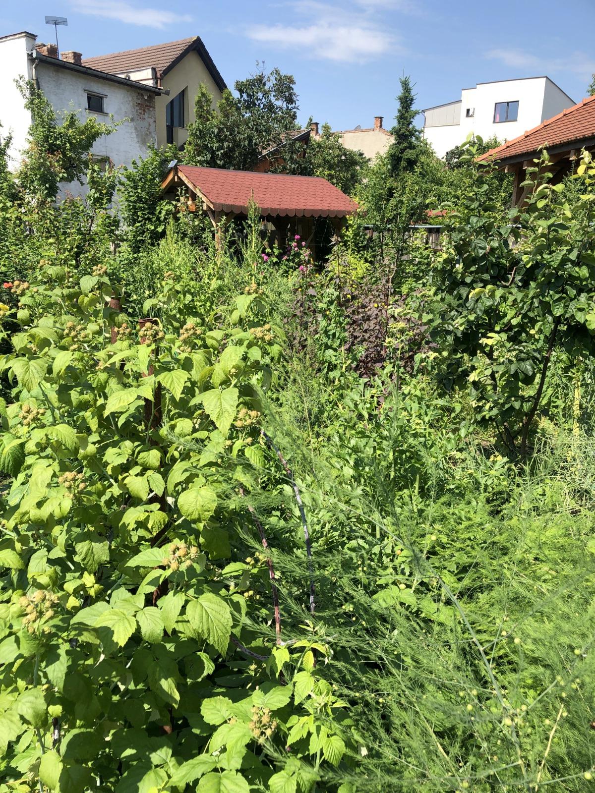 Casa de vânzare 3 camere Plopilor - 38260CV | BLITZ Cluj-Napoca | Poza13