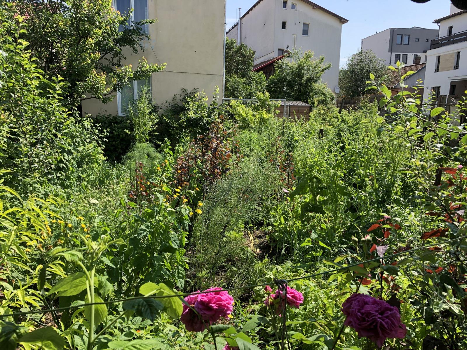 Casa de vânzare 3 camere Plopilor - 38260CV | BLITZ Cluj-Napoca | Poza14