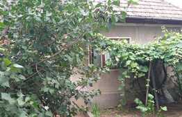 Casa la pret de apartament, curte 242 mp, zona Iulius Mall!