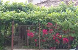 Casa la pret de apartament, curte 242 mp, zona Iulius Mall!