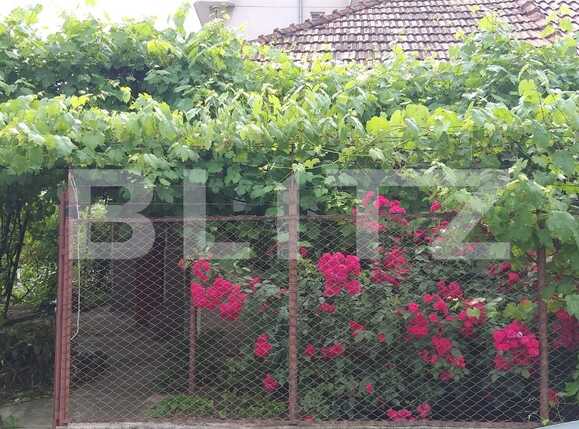 Casa de vânzare 1 camera Intre Lacuri - 38262CV | BLITZ Cluj-Napoca | Poza1