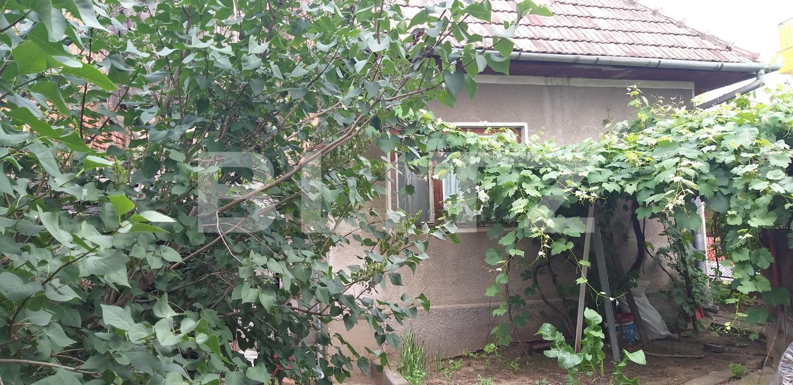 Casa de vânzare 1 camera Intre Lacuri - 38262CV | BLITZ Cluj-Napoca | Poza2