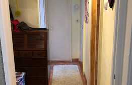 Apartament 2 camere, 40 mp, etaj intermediar, zona Aleea Clabucet