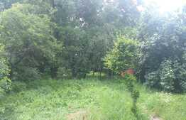 Oportunitate! Casa 100 mp, 975 mp curte, zona semicentrala!