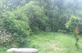 Oportunitate! Casa 100 mp, 975 mp curte, zona semicentrala!