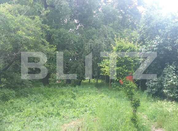 Casa de vânzare 4 camere Semicentral - 38283CV | BLITZ Cluj-Napoca | Poza3