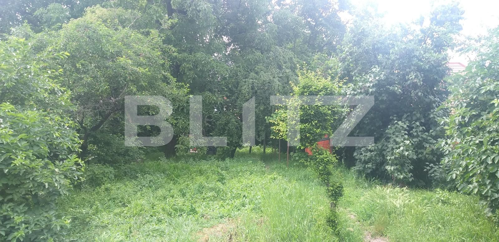 Casa de vânzare 4 camere Semicentral - 38283CV | BLITZ Cluj-Napoca | Poza3