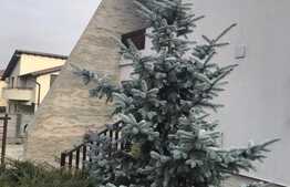 Exclusiv! Casa moderna de vanzare, 310 mp, teren 850 mp ! 