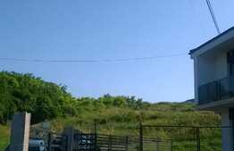 Cauti duplex  de 110 mp utili si 200 mp teren?