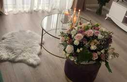 Este momentul sa profiti de ceva bun, pur si simplu te vei indragosti! Zona strazii Donath