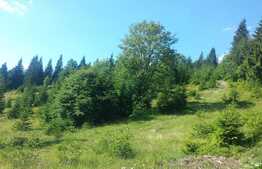 Oportunitate de investitie! Cabana si teren 33000 mp in Muntii Vladeasa, langa partia de schi!