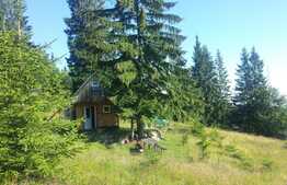 Oportunitate de investitie! Cabana si teren 33000 mp in Muntii Vladeasa, langa partia de schi!