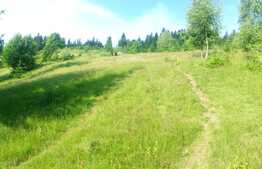 Oportunitate de investitie! Cabana si teren 33000 mp in Muntii Vladeasa, langa partia de schi!