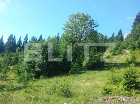 Casa de vânzare 2 camere Exterior Vest - 38335CV | BLITZ Cluj-Napoca | Poza3