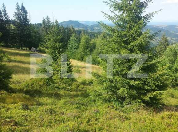 Casa de vânzare 2 camere Exterior Vest - 38335CV | BLITZ Cluj-Napoca | Poza5