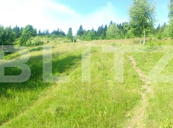 Casa de vânzare 2 camere Exterior Vest - 38335CV | BLITZ Cluj-Napoca | Poza2