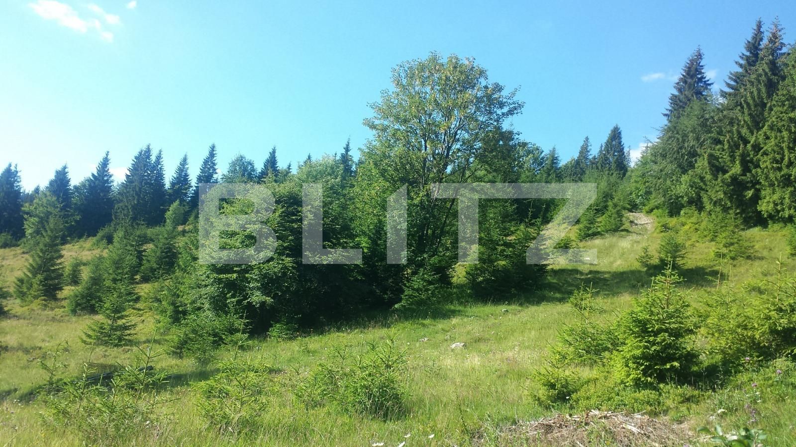 Casa de vânzare 2 camere Exterior Vest - 38335CV | BLITZ Cluj-Napoca | Poza3