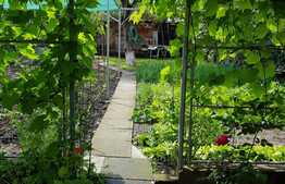 Ideala pentru investitie, casa de 280 mp cu 604 mp teren!