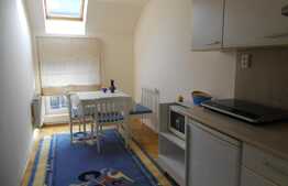 Ideala pentru investitie, casa de 280 mp cu 604 mp teren!