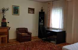 Ideala pentru investitie, casa de 280 mp cu 604 mp teren!