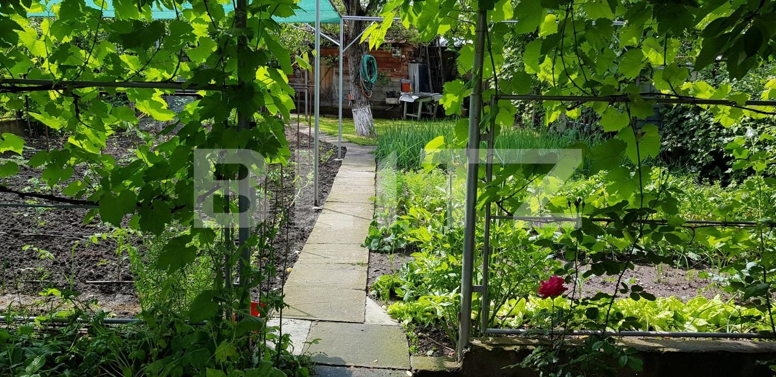 Casa de vânzare 8 camere Marasti - 38336CV | BLITZ Cluj-Napoca | Poza19