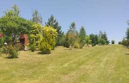 Cabana idilica, in Dezmir, 5800 mp teren!