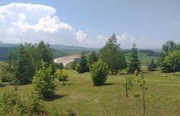 Cabana idilica, in Dezmir, 5800 mp teren!