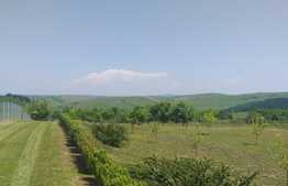 Cabana idilica, in Dezmir, 5800 mp teren!