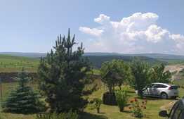 Cabana idilica, in Dezmir, 5800 mp teren!