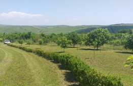 Cabana idilica, in Dezmir, 5800 mp teren!