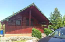 Cabana idilica, in Dezmir, 5800 mp teren!