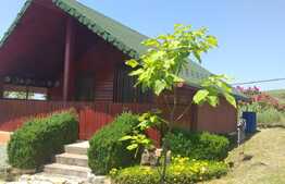 Cabana idilica, in Dezmir, 5800 mp teren!