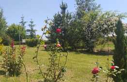 Cabana idilica, in Dezmir, 5800 mp teren!