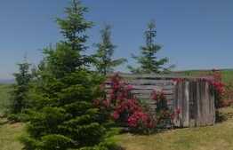 Cabana idilica, in Dezmir, 5800 mp teren!