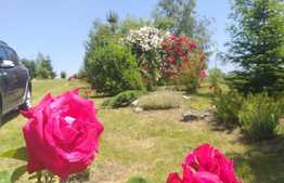 Cabana idilica, in Dezmir, 5800 mp teren!