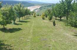 Cabana idilica, in Dezmir, 5800 mp teren!