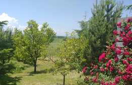 Cabana idilica, in Dezmir, 5800 mp teren!