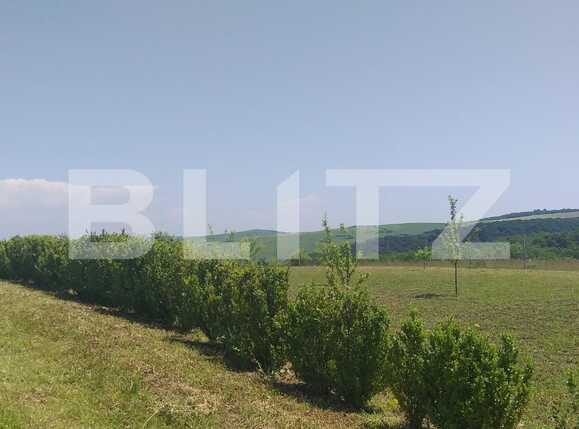 Casa de vânzare 1 camera Exterior Est - 38337CV | BLITZ Cluj-Napoca | Poza7