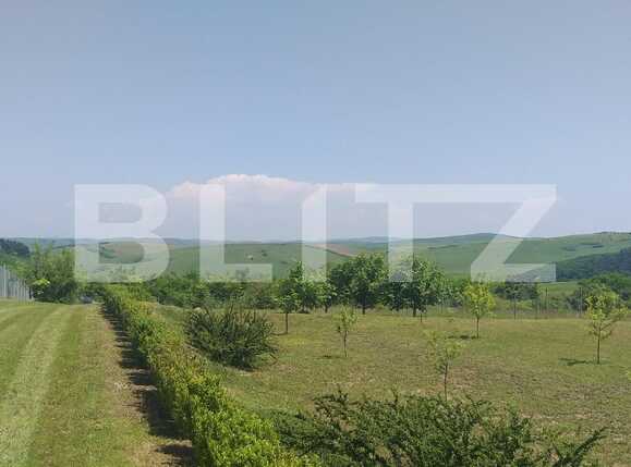 Casa de vânzare 1 camera Exterior Est - 38337CV | BLITZ Cluj-Napoca | Poza6