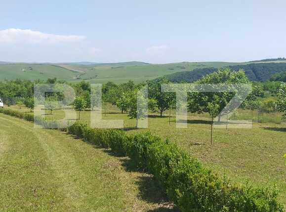 Casa de vânzare 1 camera Exterior Est - 38337CV | BLITZ Cluj-Napoca | Poza15