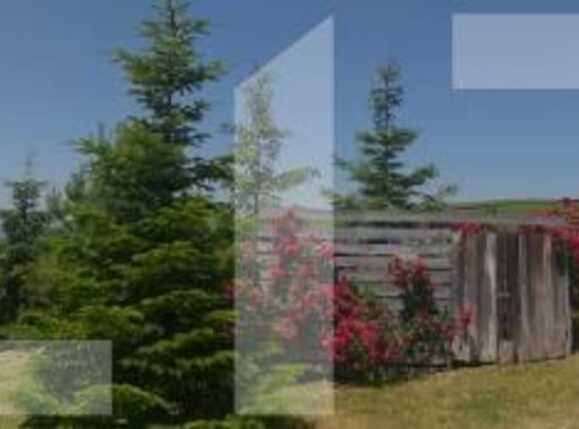 Casa de vânzare 1 camera Exterior Est - 38337CV | BLITZ Cluj-Napoca | Poza12