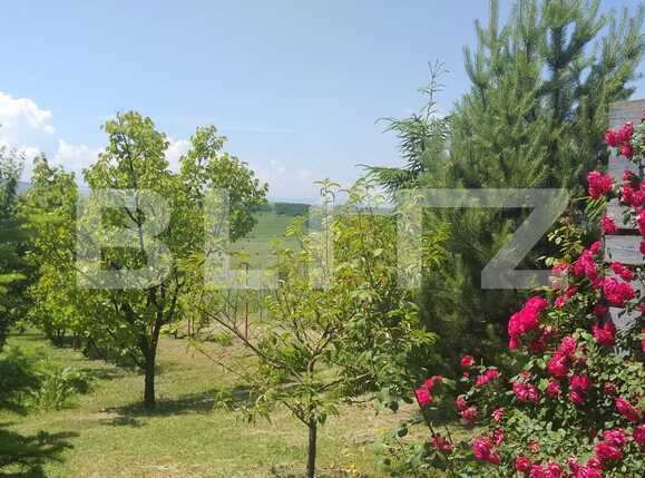 Casa de vânzare 1 camera Exterior Est - 38337CV | BLITZ Cluj-Napoca | Poza8