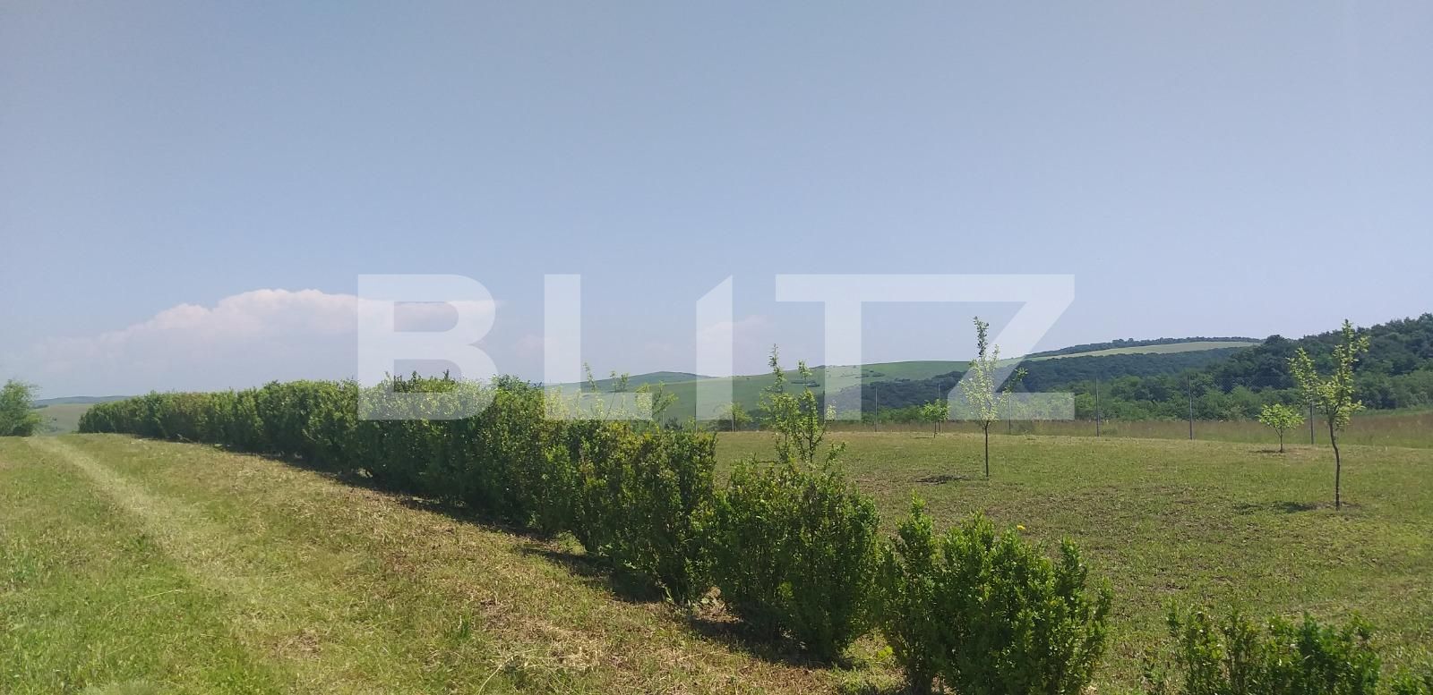 Casa de vânzare 1 camera Exterior Est - 38337CV | BLITZ Cluj-Napoca | Poza7