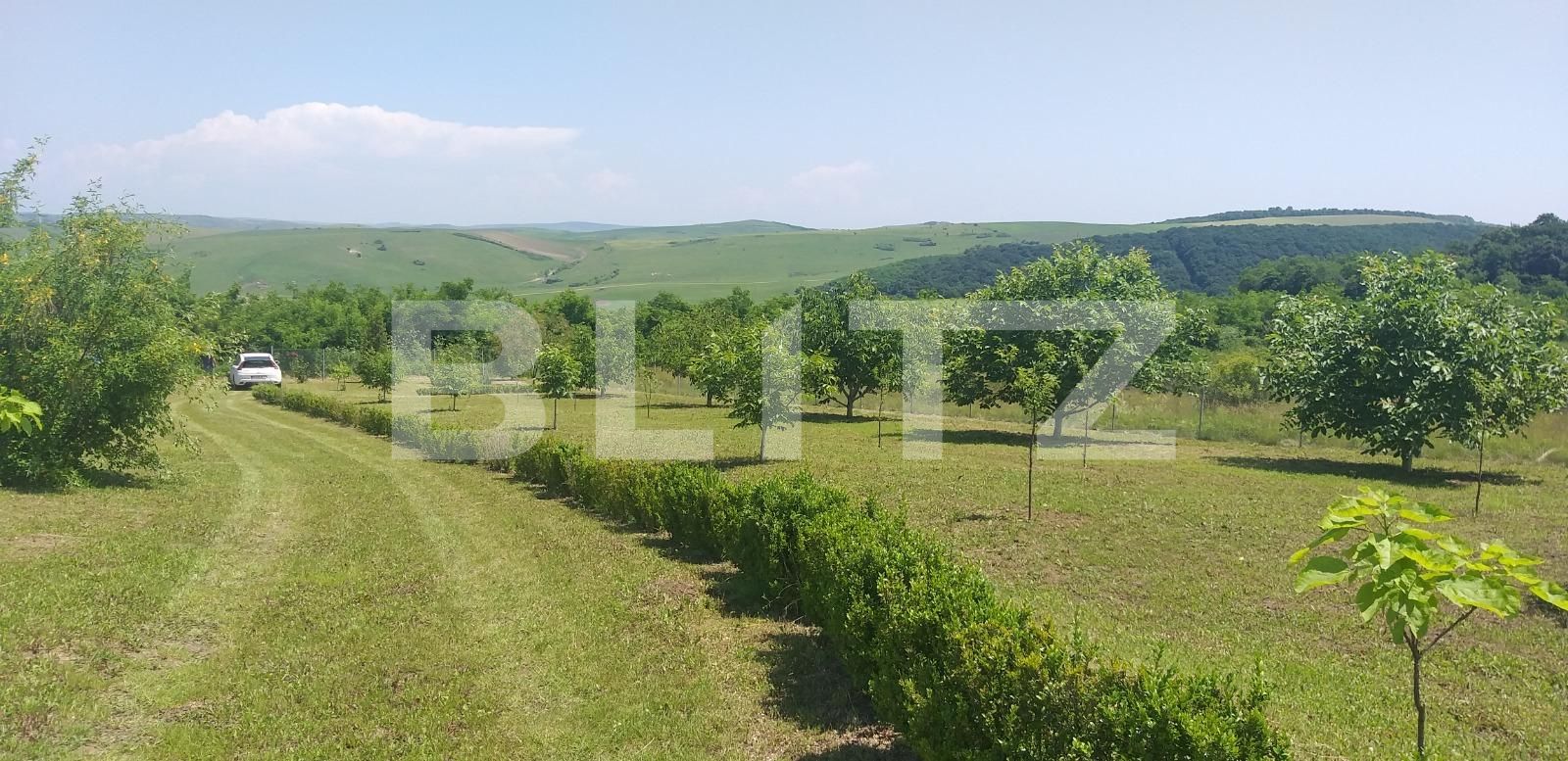 Casa de vânzare 1 camera Exterior Est - 38337CV | BLITZ Cluj-Napoca | Poza15