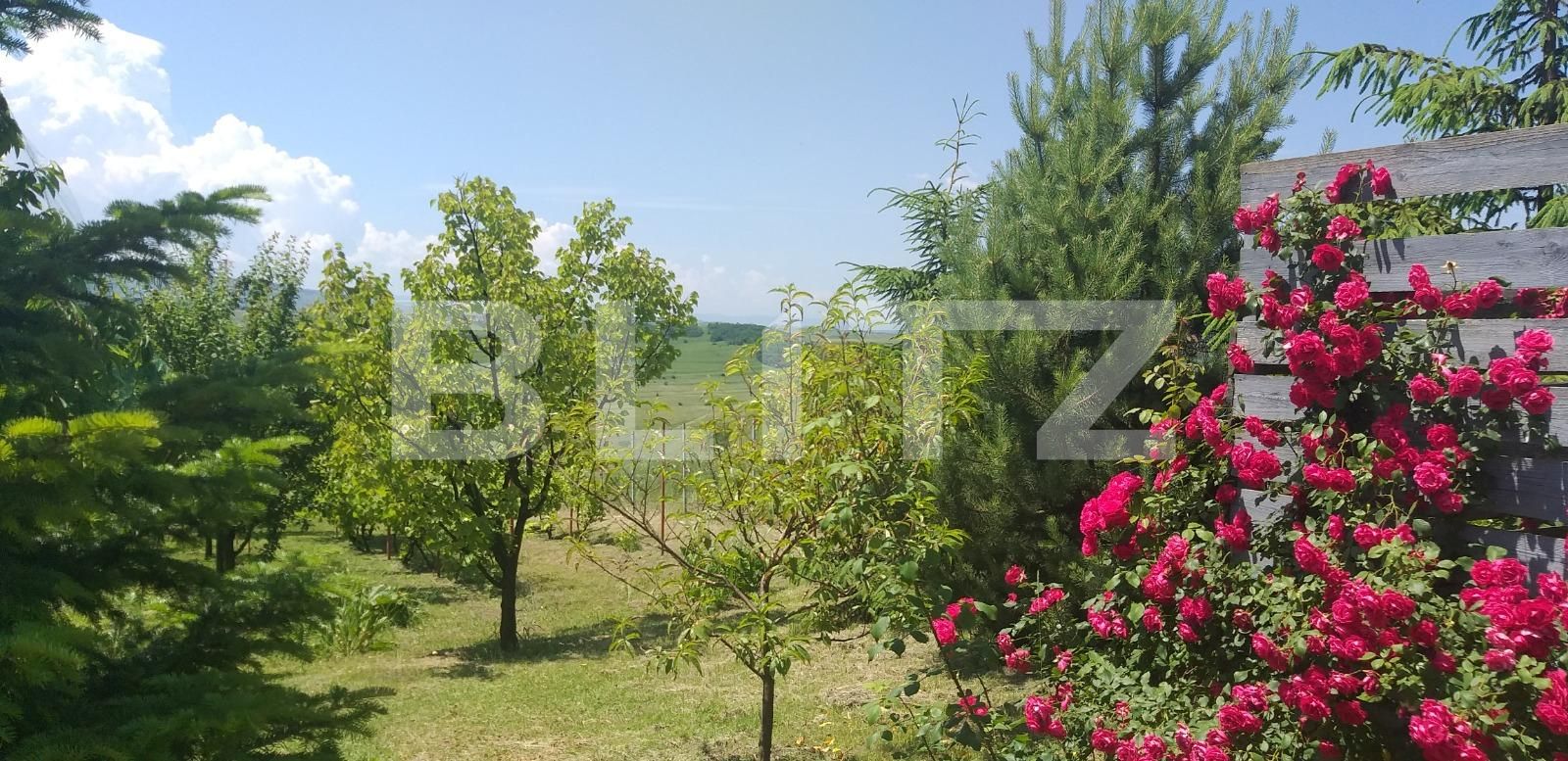 Casa de vânzare 1 camera Exterior Est - 38337CV | BLITZ Cluj-Napoca | Poza8