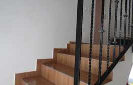 Oportunitate pret si locatie! De vanzare casa 150 mp, teren 340 mp, Sanicoara!