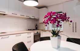 Vrei sa cumperi un apartament spatios, la cheie, perfect pentru familia ta? Hai sa vedem aceasta oferta impreuna!