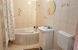 Apartament 1 camera, decomandat, 40 mp, zona VIVO!