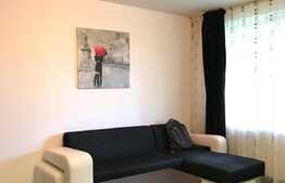 Apartament 2 camere, 45 mp, zona INTERSERVISAN!