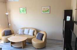 Apartament 2 camere, cu terasa, zona strazii Oasului